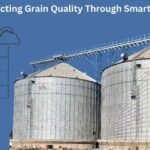 Silo contamination